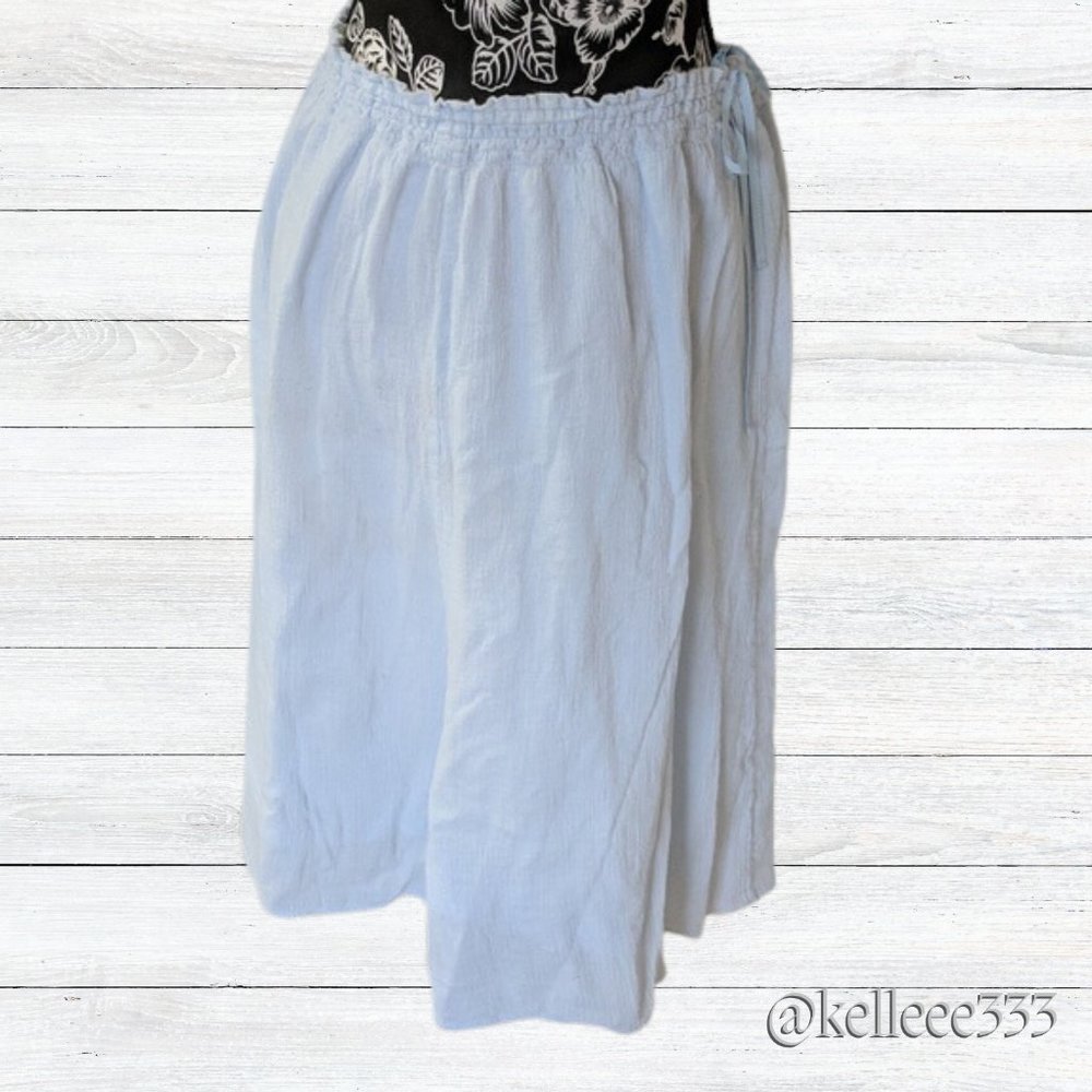 J.Crew Light Blue knee length skirt sz Large